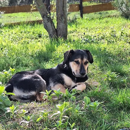 Apartamento A Traveler's Small House Mały Podróżnika Kalensko
